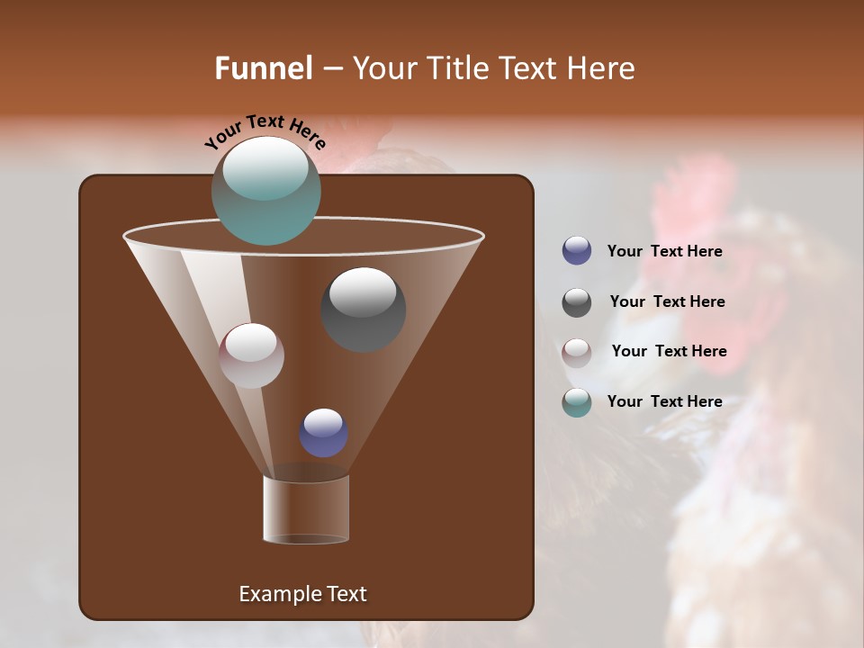 Egg Animal Leg PowerPoint Template