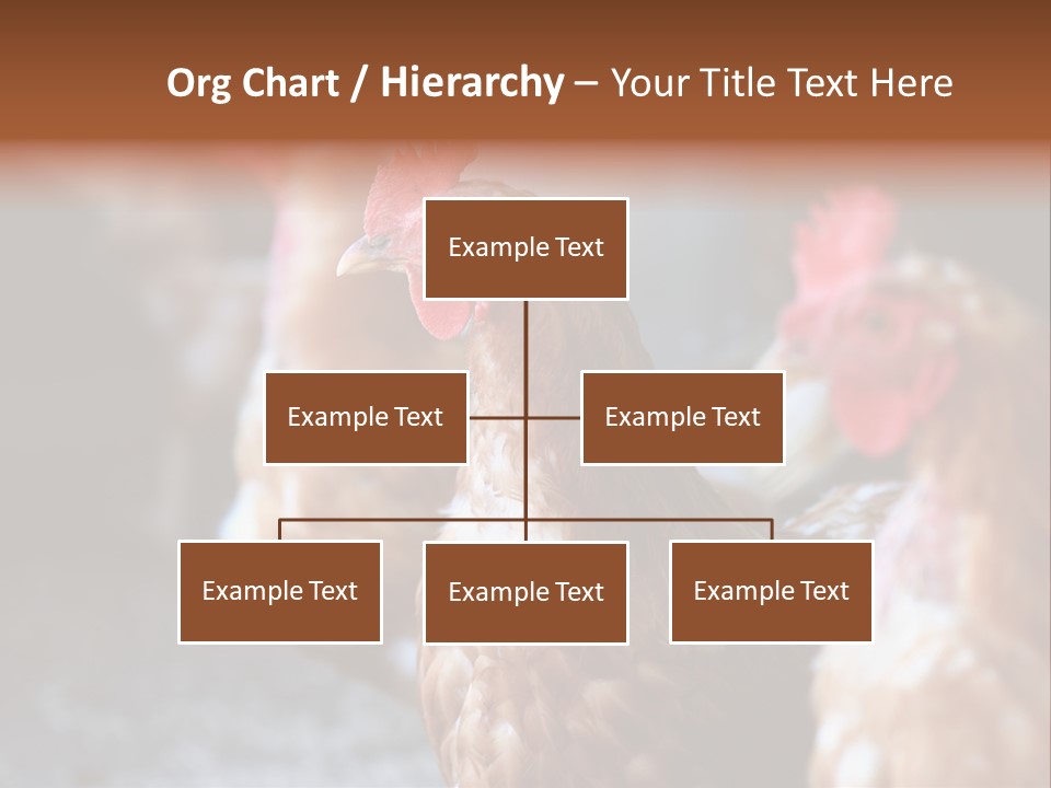 Egg Animal Leg PowerPoint Template