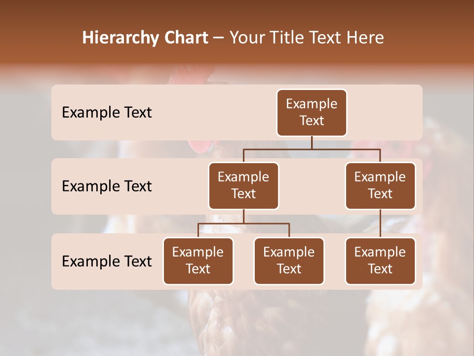 Egg Animal Leg PowerPoint Template