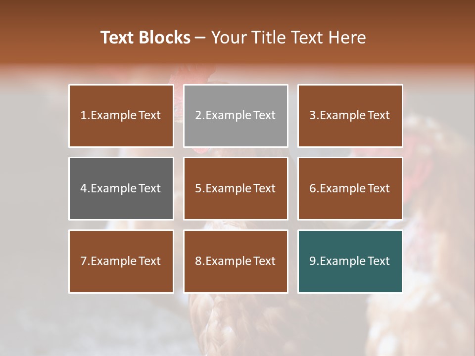 Egg Animal Leg PowerPoint Template