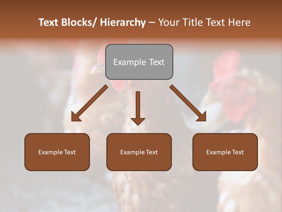 Egg Animal Leg PowerPoint Template