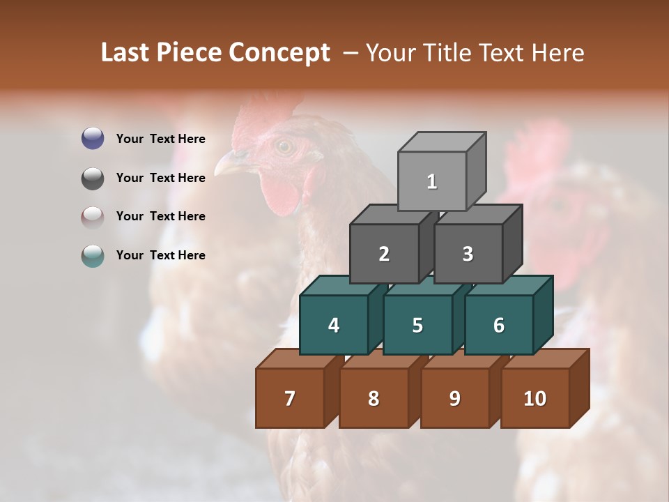 Egg Animal Leg PowerPoint Template