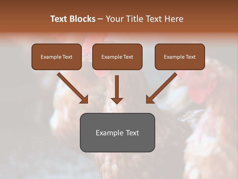 Egg Animal Leg PowerPoint Template