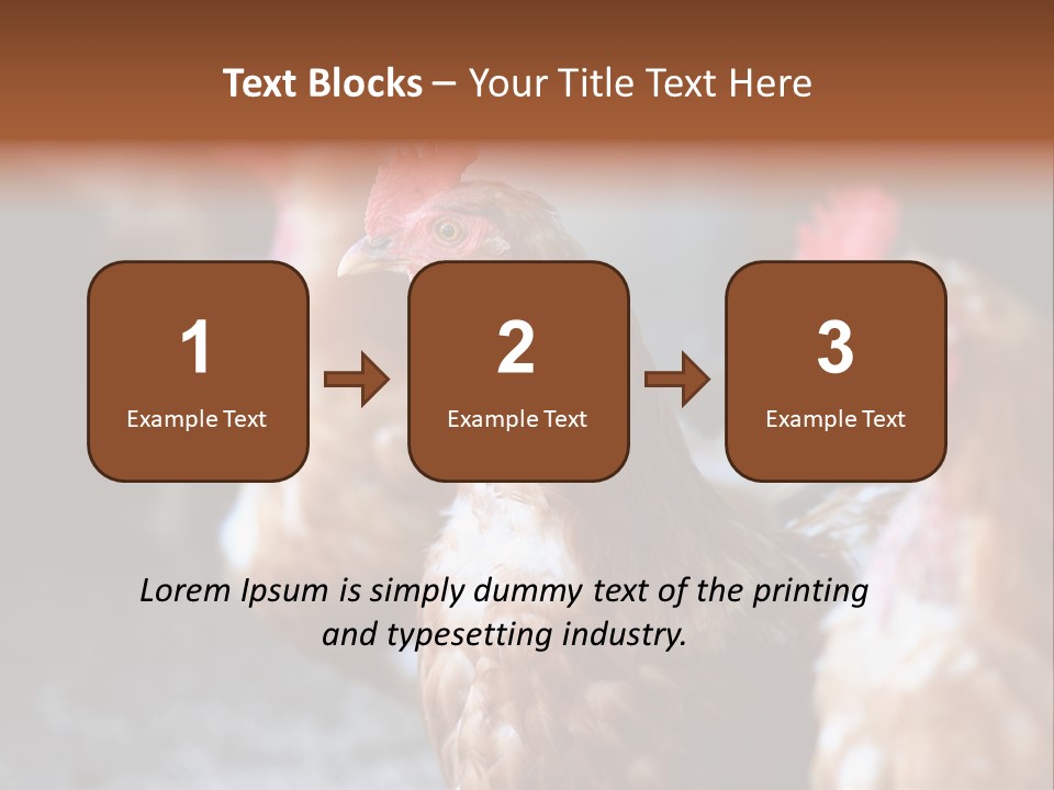 Egg Animal Leg PowerPoint Template