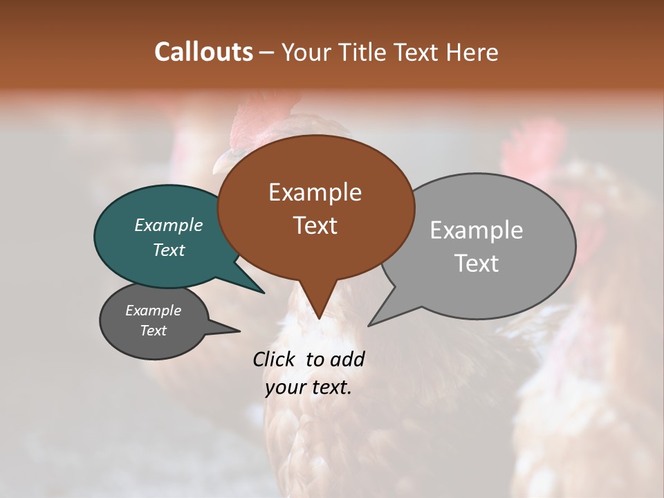 Egg Animal Leg PowerPoint Template