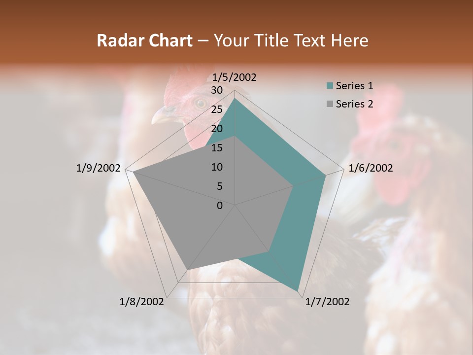 Egg Animal Leg PowerPoint Template