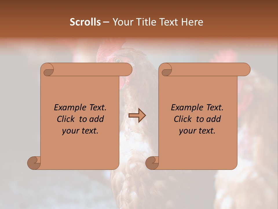Egg Animal Leg PowerPoint Template