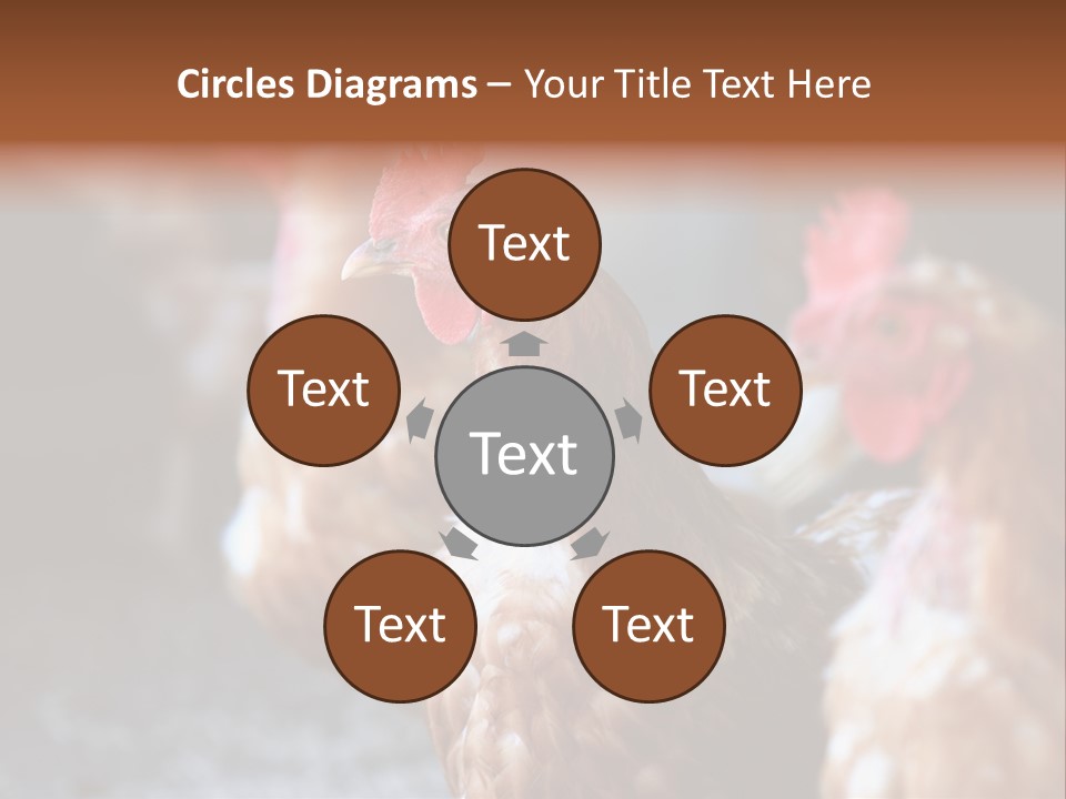 Egg Animal Leg PowerPoint Template