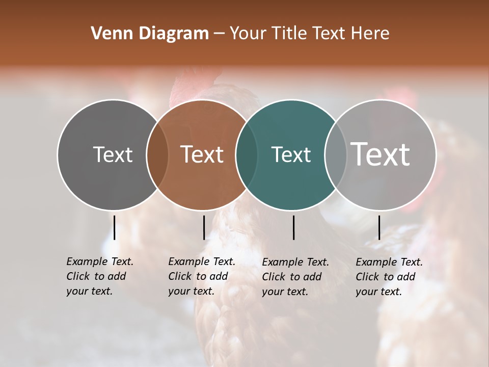 Egg Animal Leg PowerPoint Template