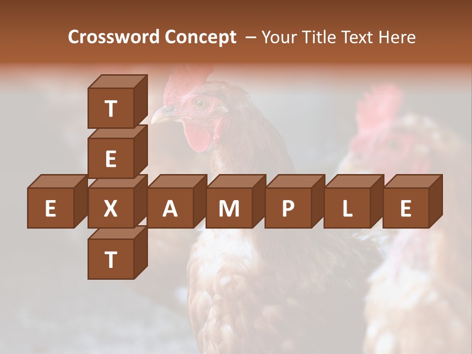 Egg Animal Leg PowerPoint Template