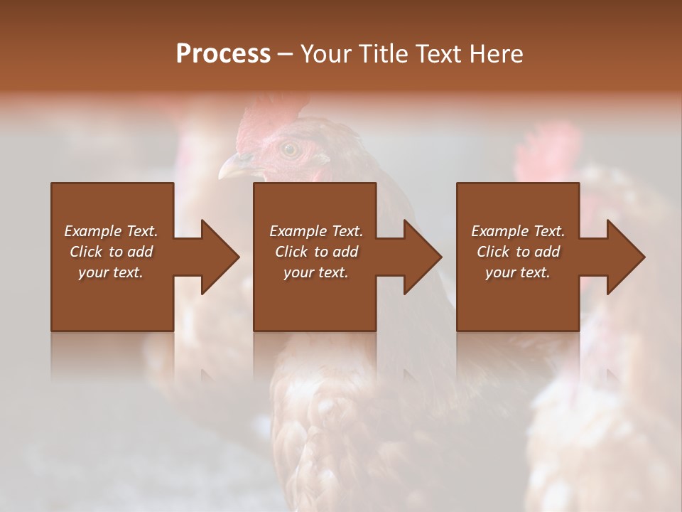 Egg Animal Leg PowerPoint Template