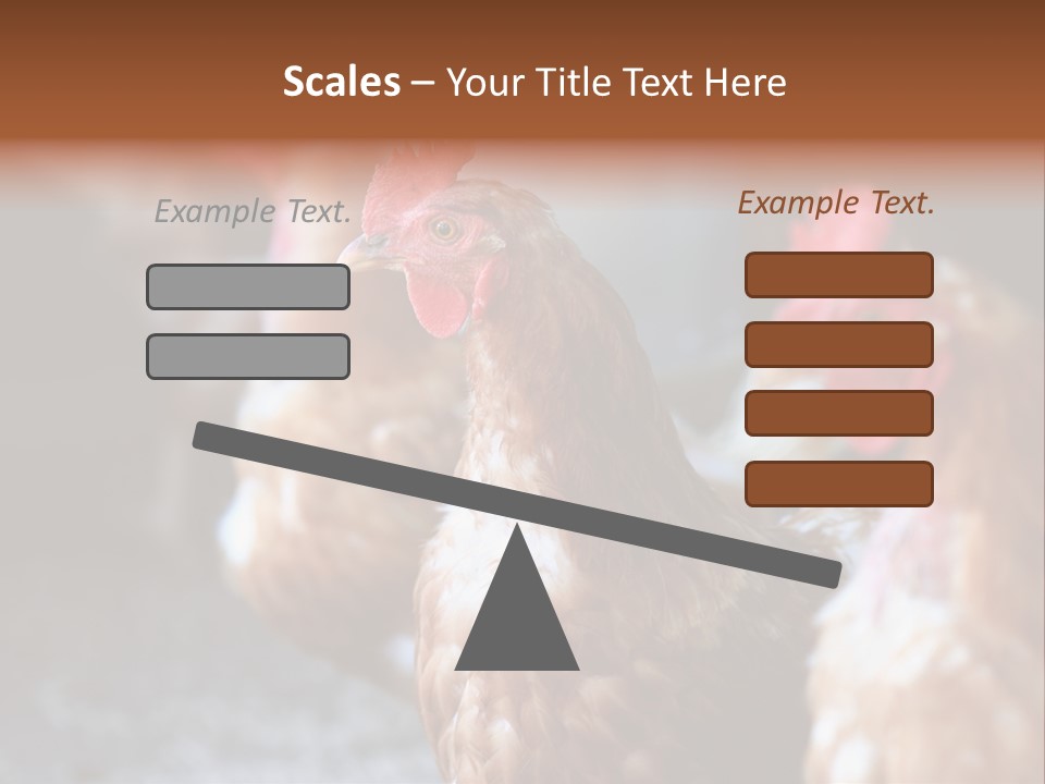Egg Animal Leg PowerPoint Template