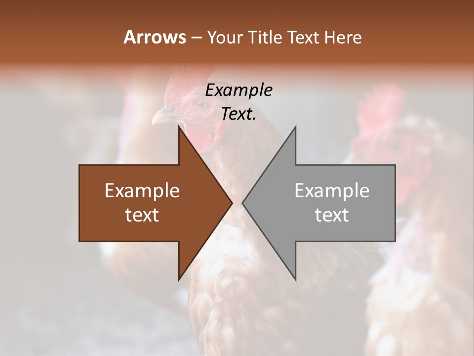 Egg Animal Leg PowerPoint Template