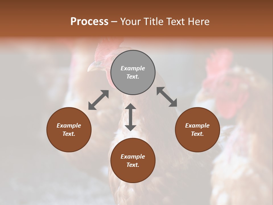 Egg Animal Leg PowerPoint Template