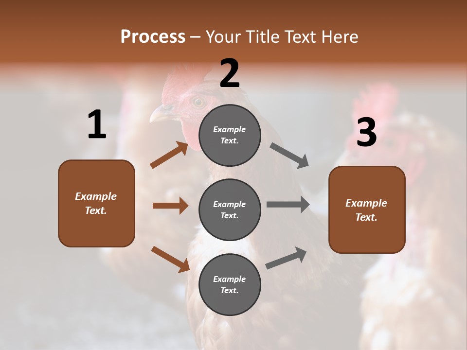 Egg Animal Leg PowerPoint Template