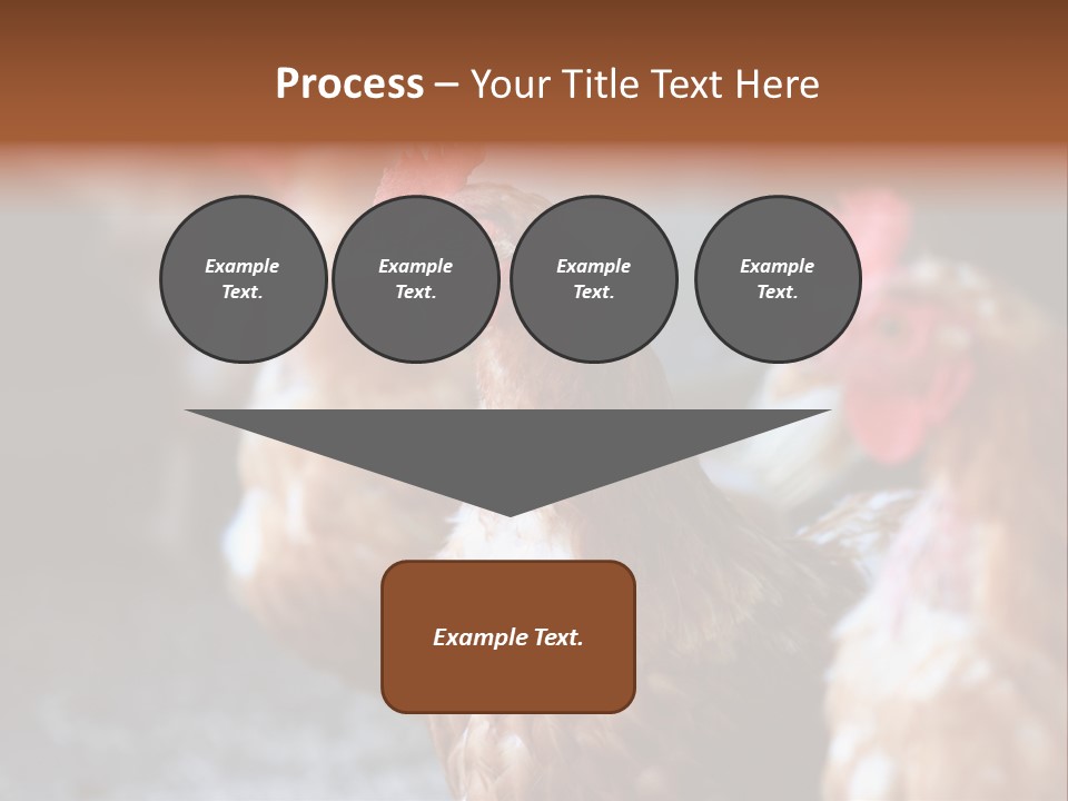 Egg Animal Leg PowerPoint Template
