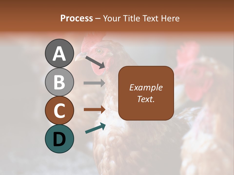 Egg Animal Leg PowerPoint Template