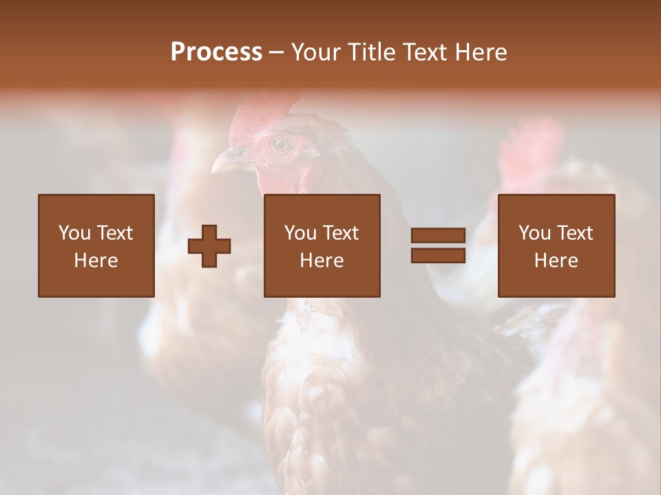 Egg Animal Leg PowerPoint Template