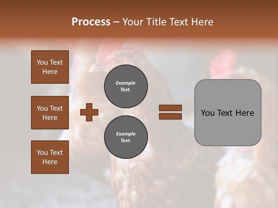 Egg Animal Leg PowerPoint Template