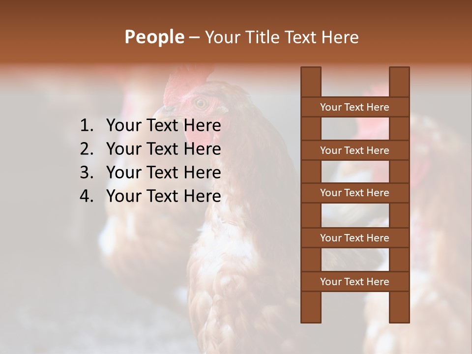 Egg Animal Leg PowerPoint Template