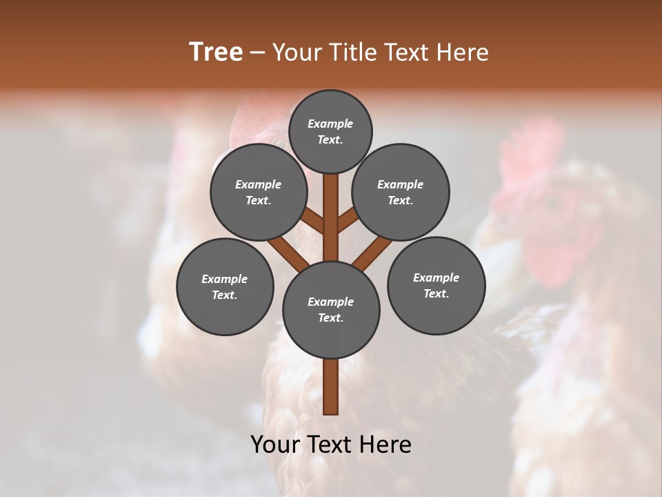 Egg Animal Leg PowerPoint Template