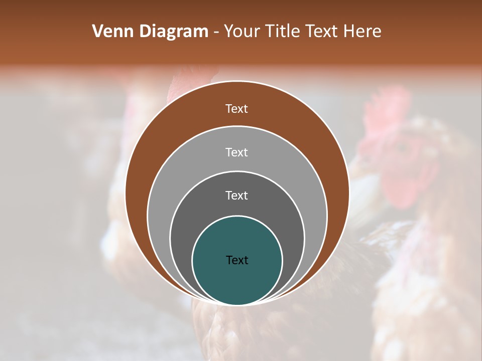 Egg Animal Leg PowerPoint Template