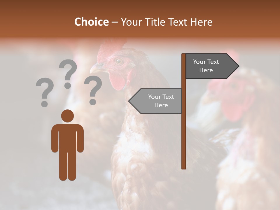 Egg Animal Leg PowerPoint Template