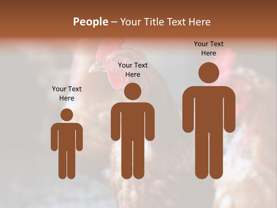 Egg Animal Leg PowerPoint Template