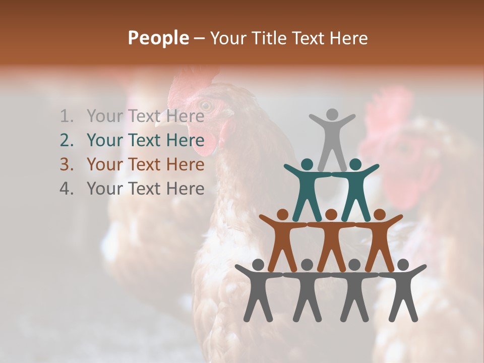 Egg Animal Leg PowerPoint Template