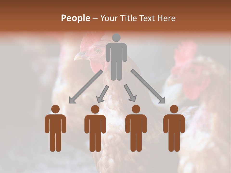 Egg Animal Leg PowerPoint Template