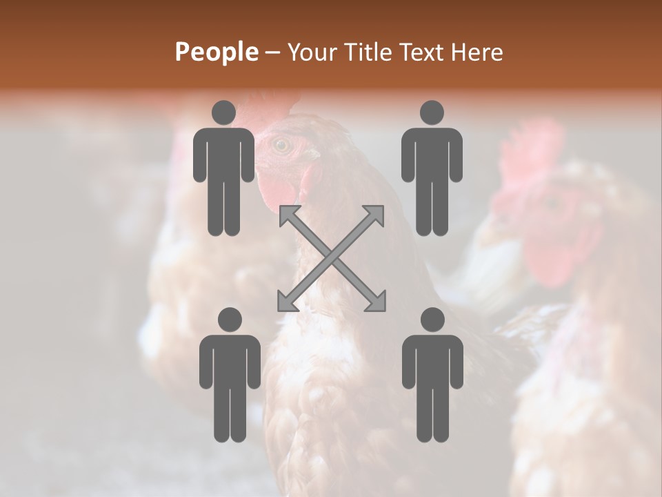 Egg Animal Leg PowerPoint Template