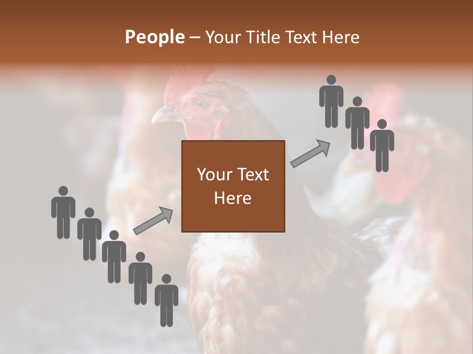 Egg Animal Leg PowerPoint Template