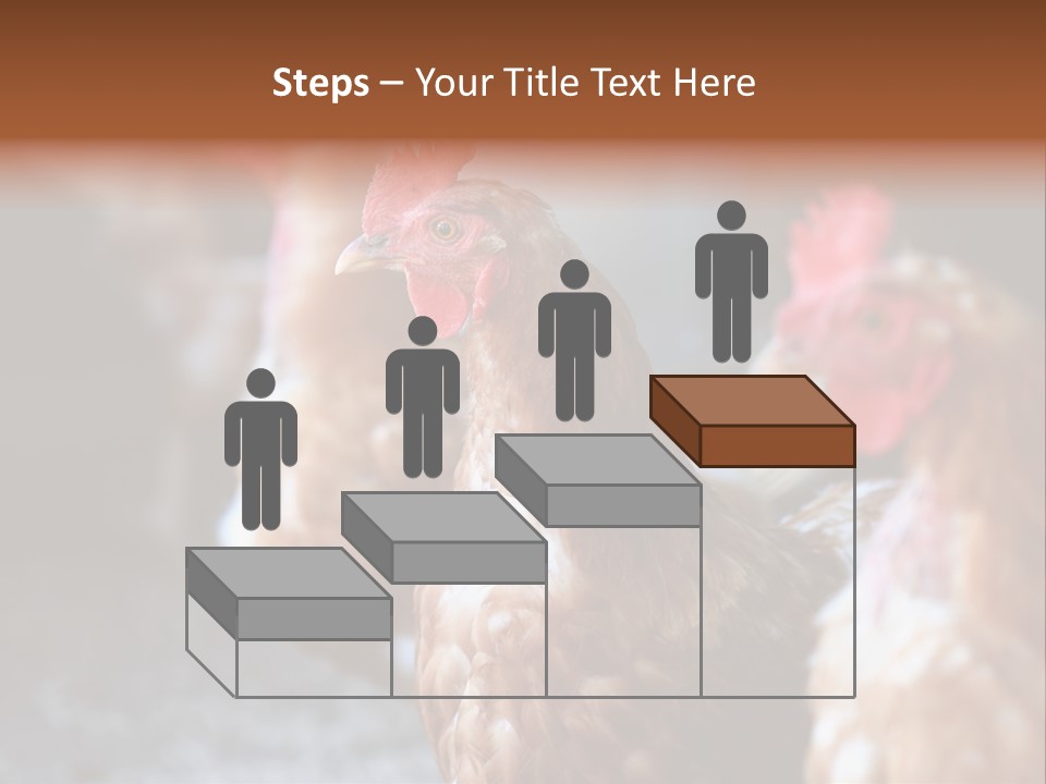 Egg Animal Leg PowerPoint Template