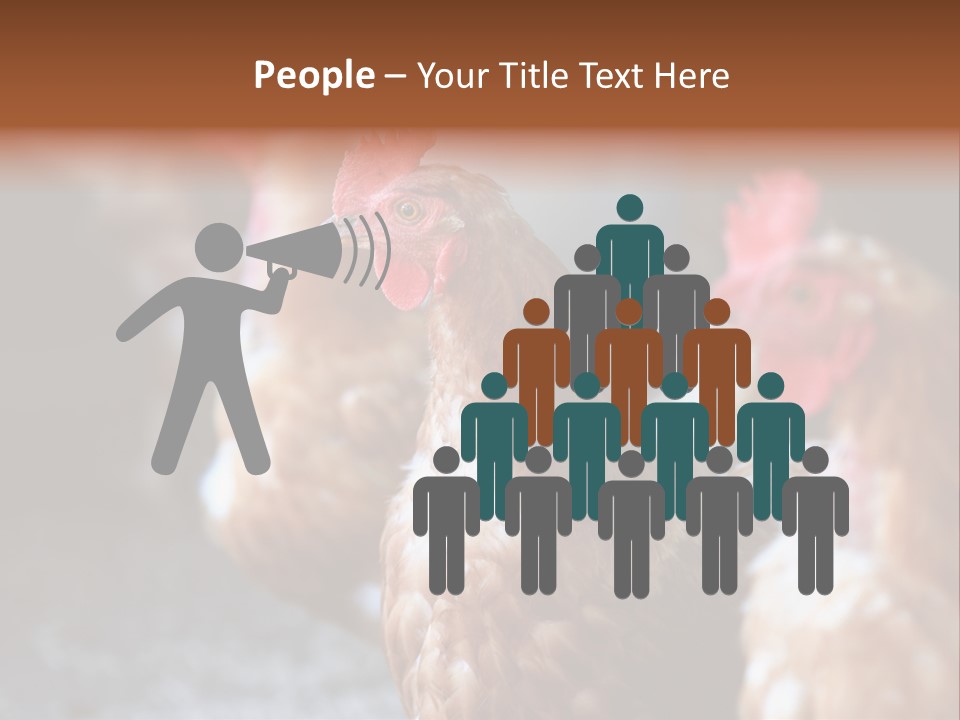 Egg Animal Leg PowerPoint Template