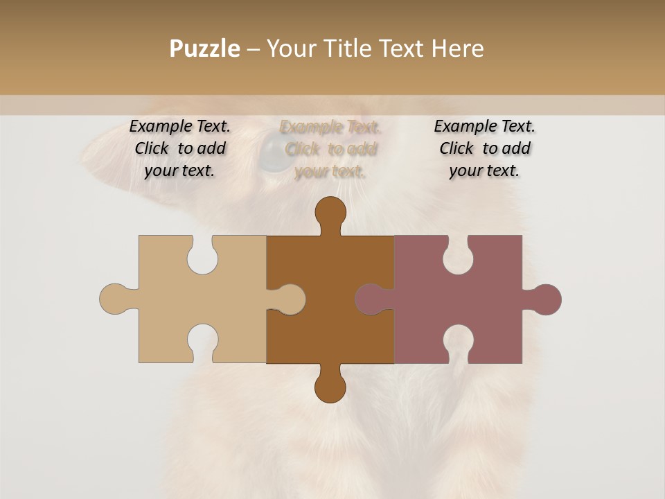 Baby Feline Young PowerPoint Template