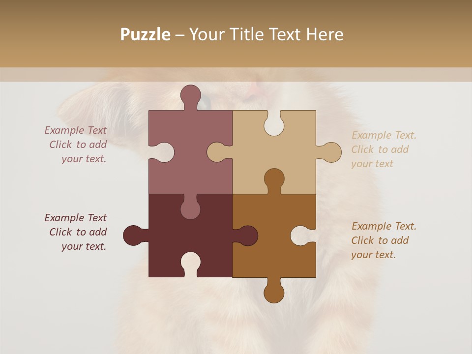 Baby Feline Young PowerPoint Template