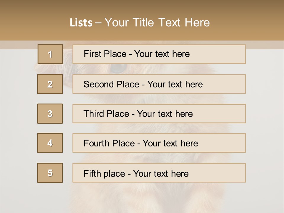 Baby Feline Young PowerPoint Template