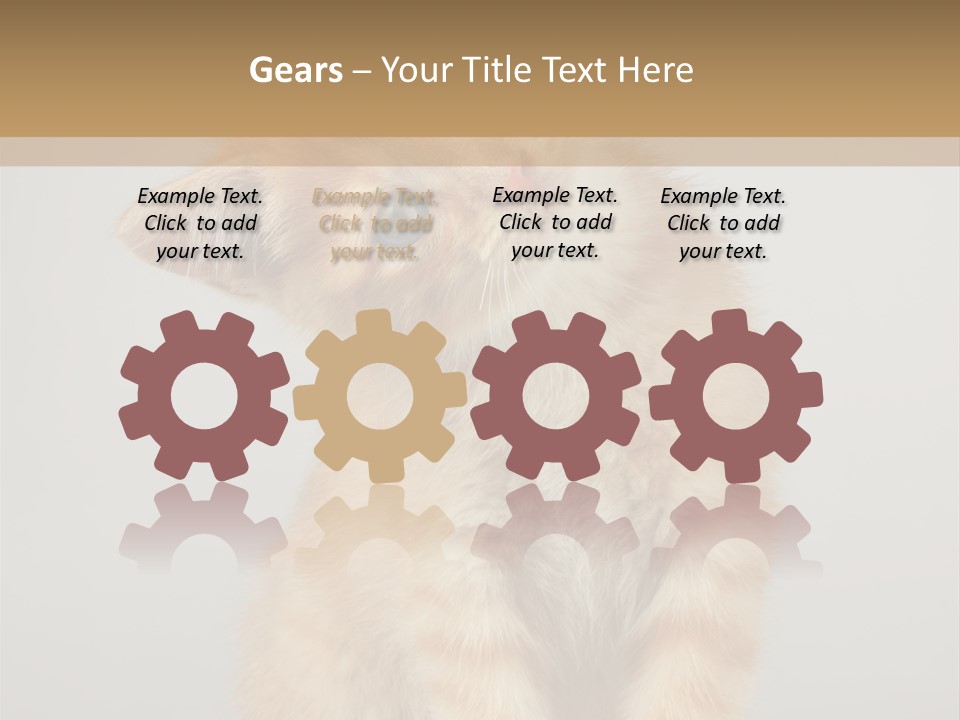 Baby Feline Young PowerPoint Template