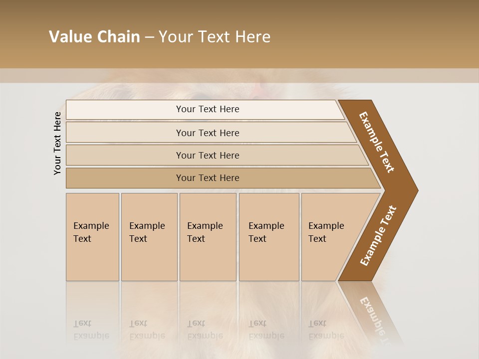 Baby Feline Young PowerPoint Template