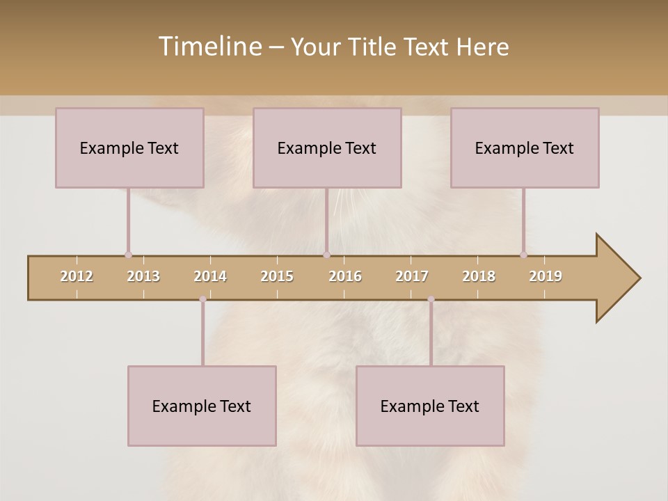 Baby Feline Young PowerPoint Template