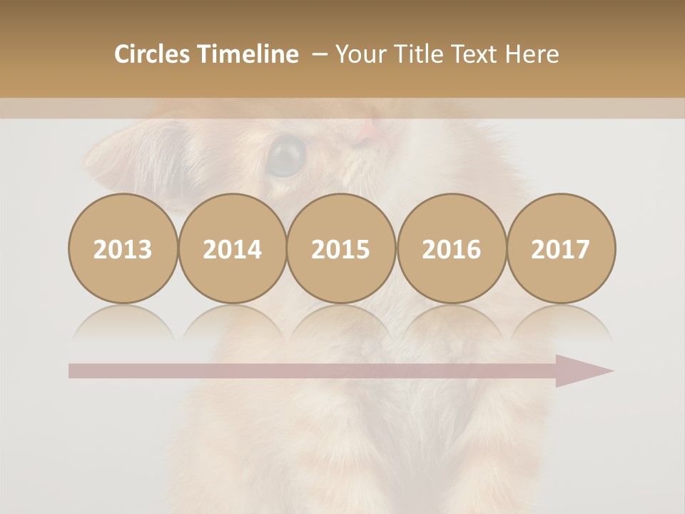 Baby Feline Young PowerPoint Template