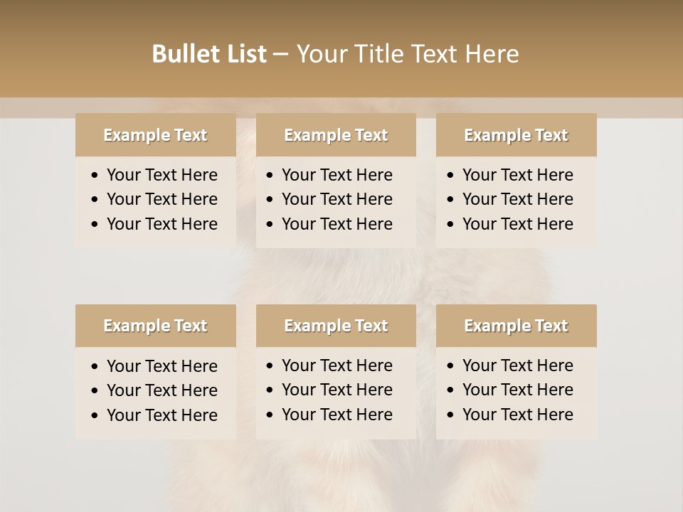 Baby Feline Young PowerPoint Template