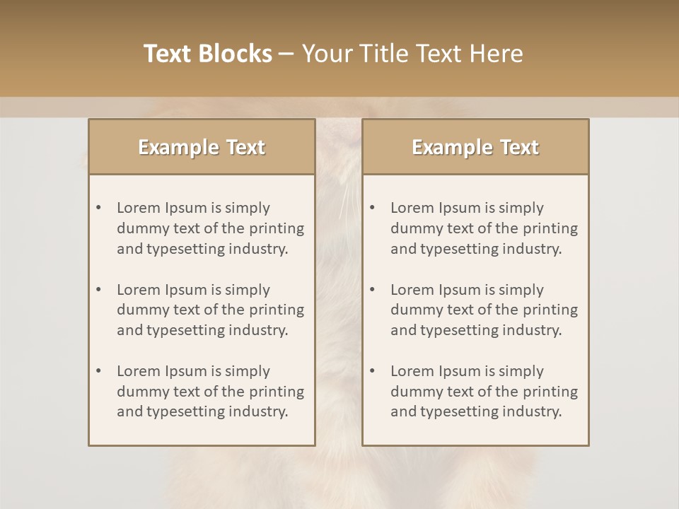 Baby Feline Young PowerPoint Template