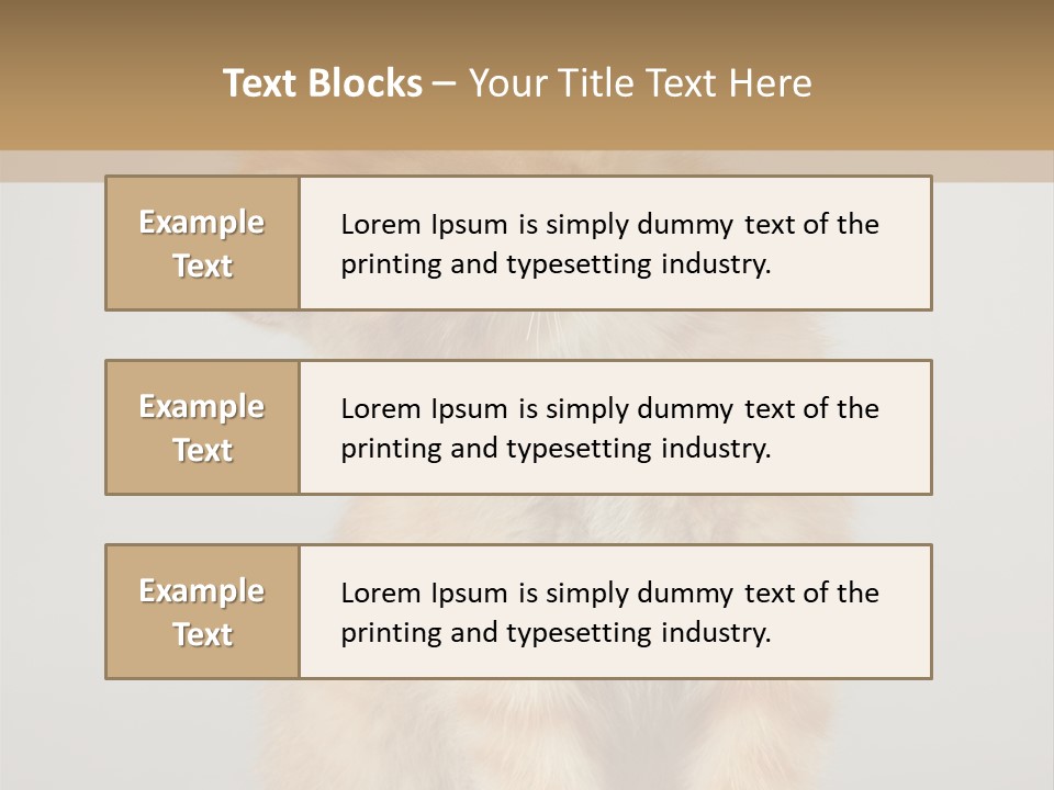 Baby Feline Young PowerPoint Template