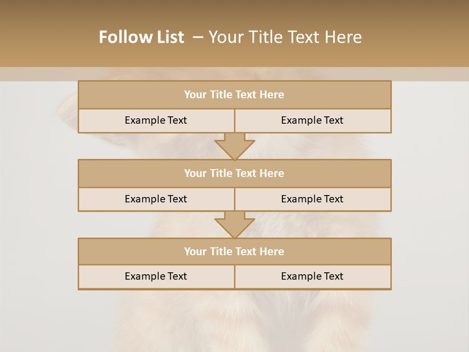 Baby Feline Young PowerPoint Template