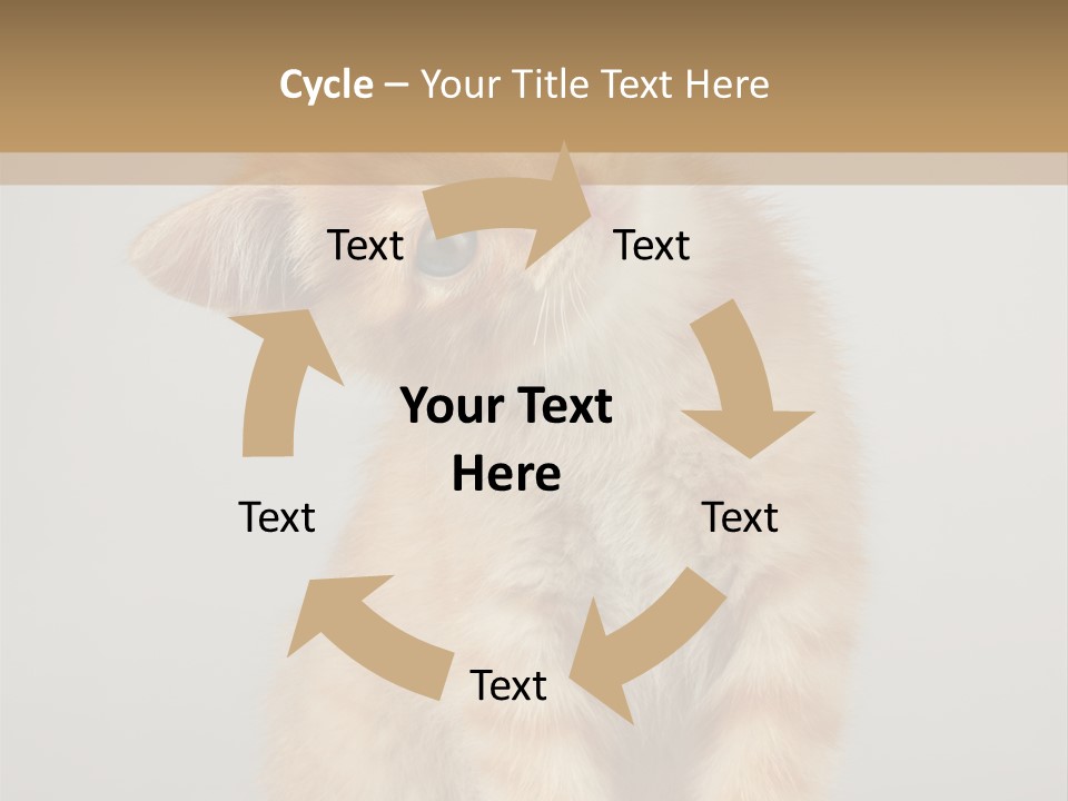 Baby Feline Young PowerPoint Template