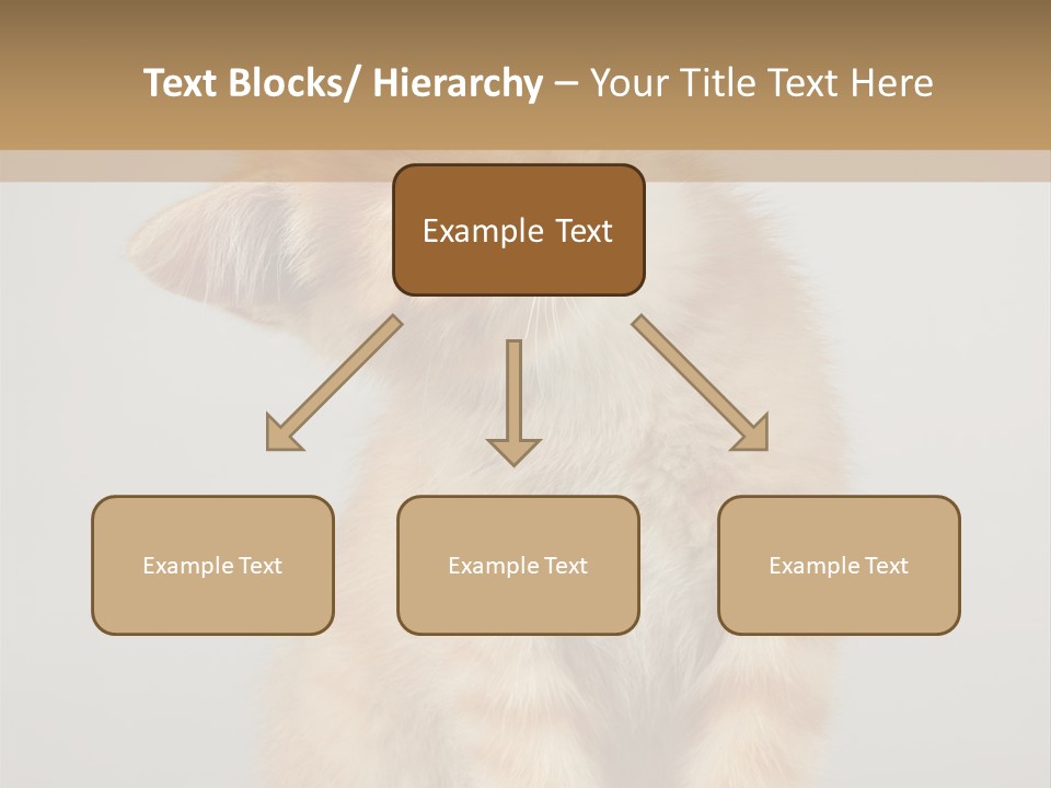 Baby Feline Young PowerPoint Template