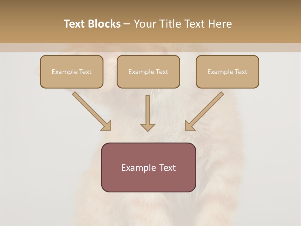 Baby Feline Young PowerPoint Template