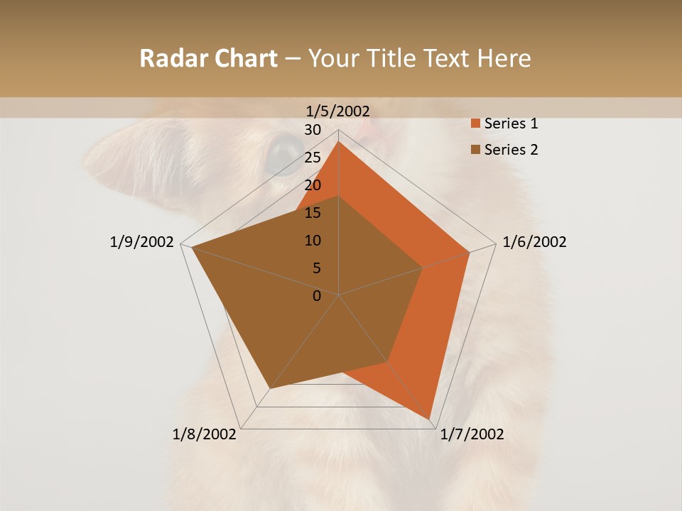 Baby Feline Young PowerPoint Template