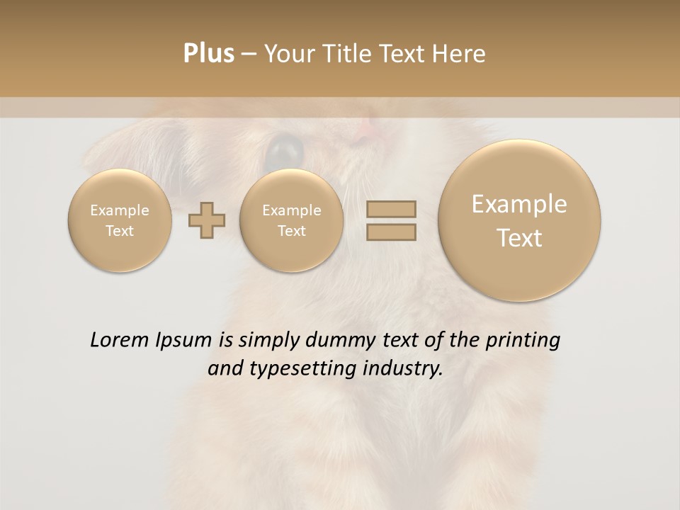 Baby Feline Young PowerPoint Template